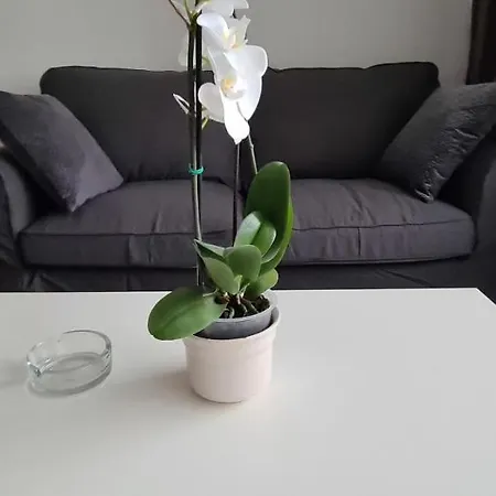 Good And Night - A78828 Apartmán Neuss